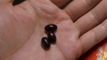 男性にもオススメのサプリ『プラセンタ』を実際に使ってみた感想！脂性肌が改善した【母の滴】