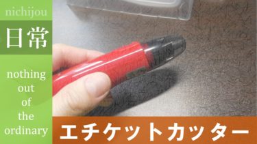 【使い方】エチケットカッターで鼻毛の切り残しを無くす簡単なコツ【ER-GN11】