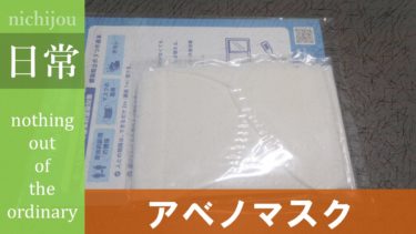 【アベノマスク】ついに布マスクが届いたのでブロガーっぽくレビューしてみよう！