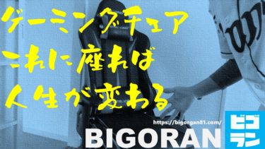 軽作業や立ち仕事に最適 ドクターショールのインソール ワーク をレビュー Bigoran ビゴラン