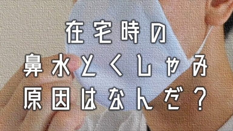 家にいると鼻水やくしゃみが出る そんな私の症状が改善した方法を紹介 Bigoran ビゴラン