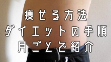 デブがダイエットを始めるときに注意すべきポイント 体重100キロから70キロまで痩せた方法 Bigoran ビゴラン