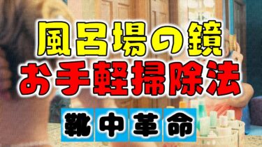 お風呂の鏡が汚い！水垢と石鹸垢で出来たウロコ状の汚れをキレイにするために奮闘した記録